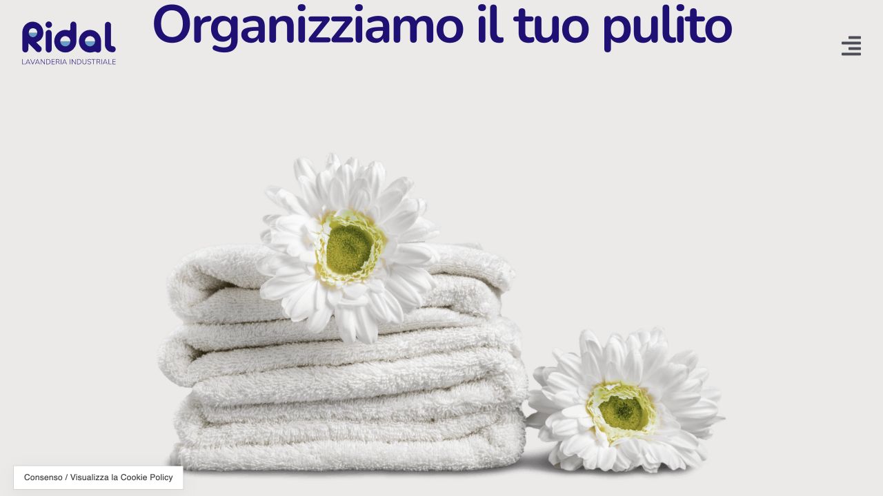 Homepage del sito Lavanderia Industriale Ridal progettato e sviluppato da Scenicom
